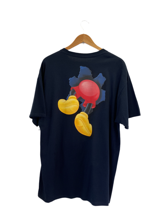 POLERA DISNEY DREAMS FLORIDA