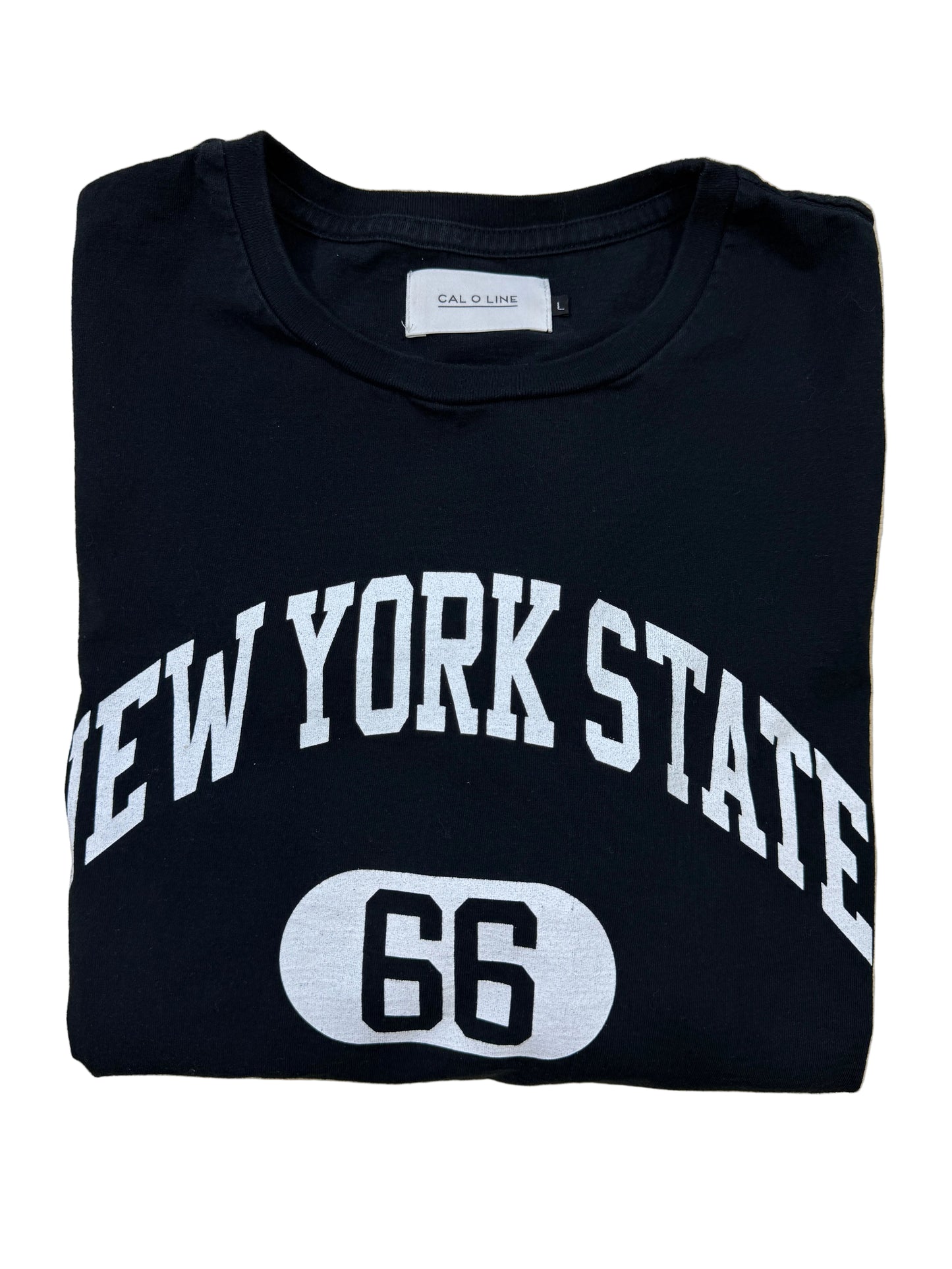 Polera New York State 66