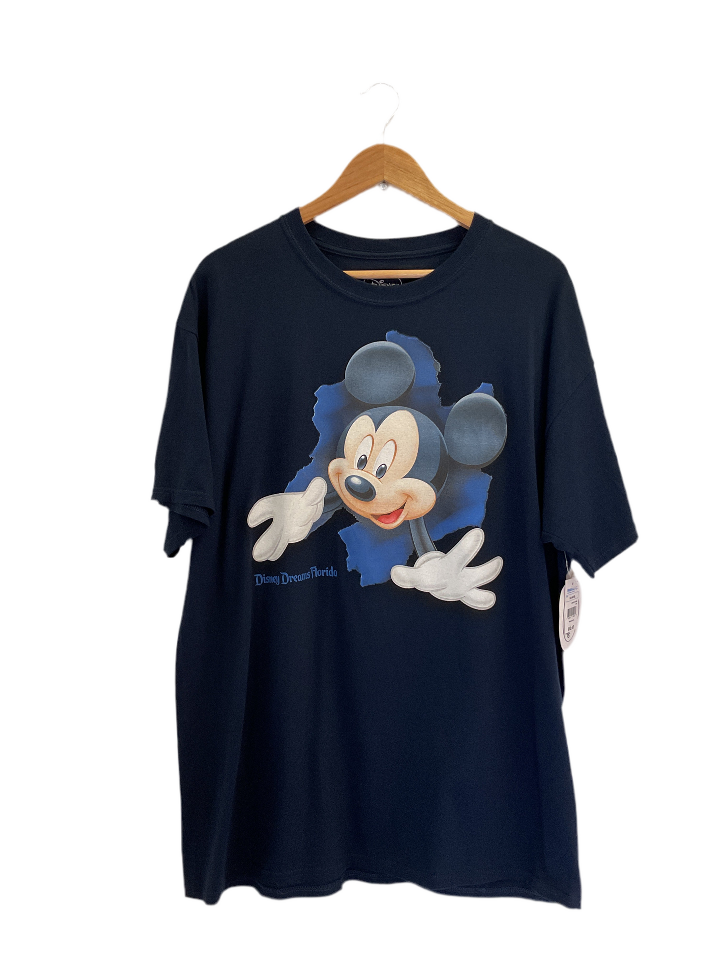 POLERA DISNEY DREAMS FLORIDA