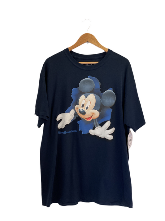 POLERA DISNEY DREAMS FLORIDA