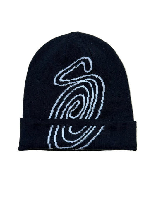 Beanie Stussy